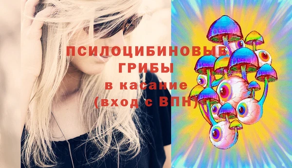 прущая мука Абаза