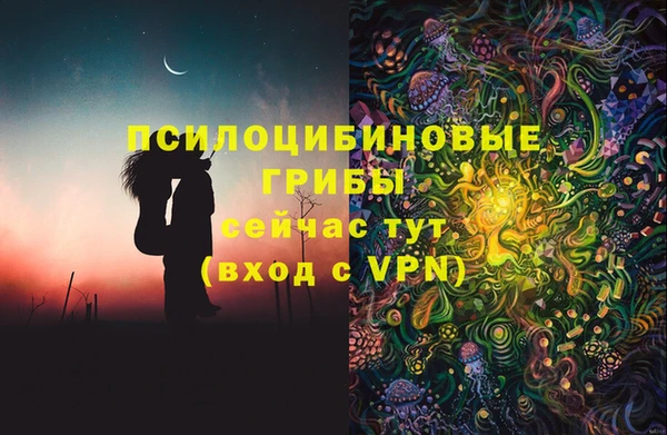 ALPHA PVP Медвежьегорск