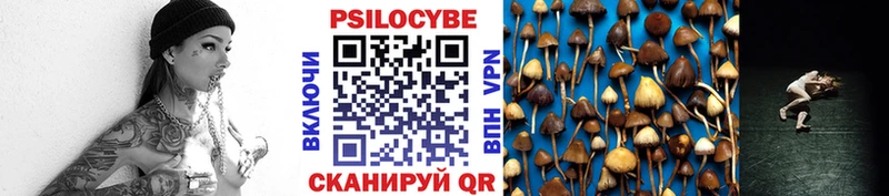 что такое   Псков  Галлюциногенные грибы Psilocybine cubensis 